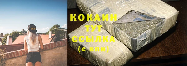 прущие грибы Балахна