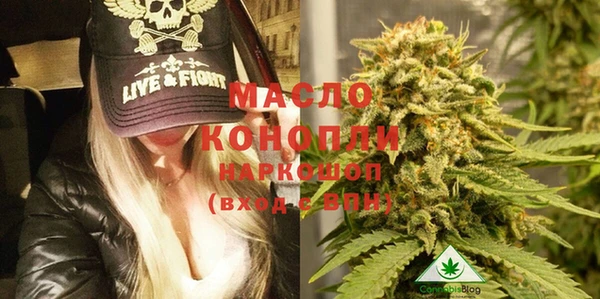 сатива Беломорск