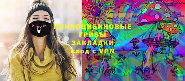 ECSTASY Белокуриха