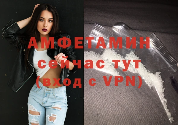 сатива Беломорск