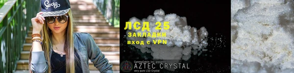 сатива Беломорск