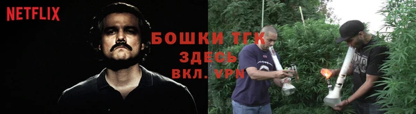 ECSTASY Белокуриха