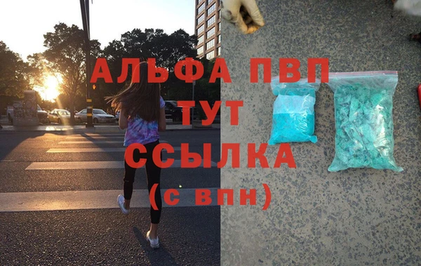 прущие грибы Балахна
