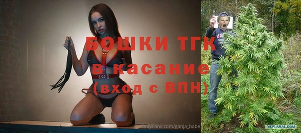 прущие грибы Балахна